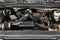 2021 Ford Super Duty F-250 SRW XLT