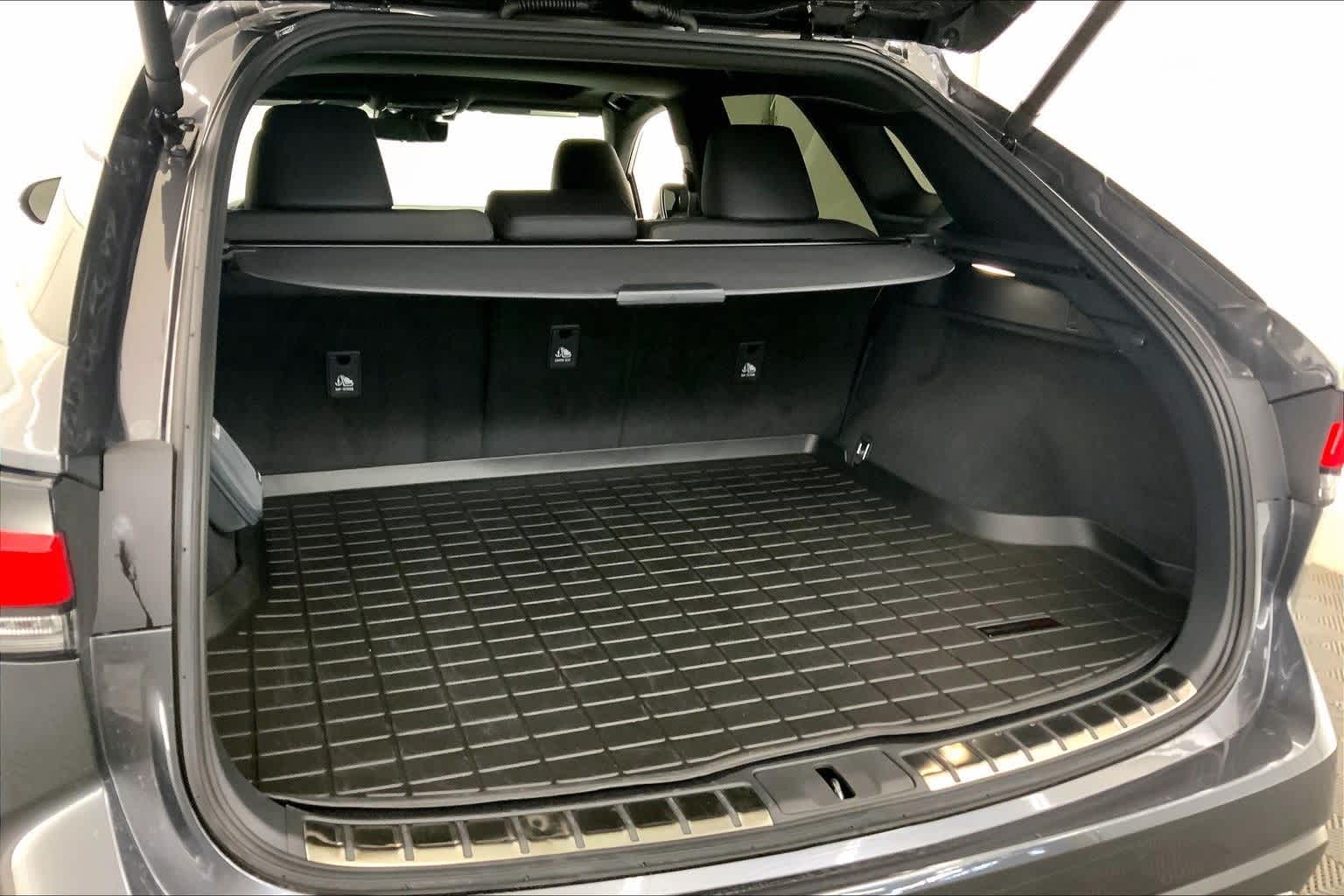 2025 Lexus RX Premium Plus