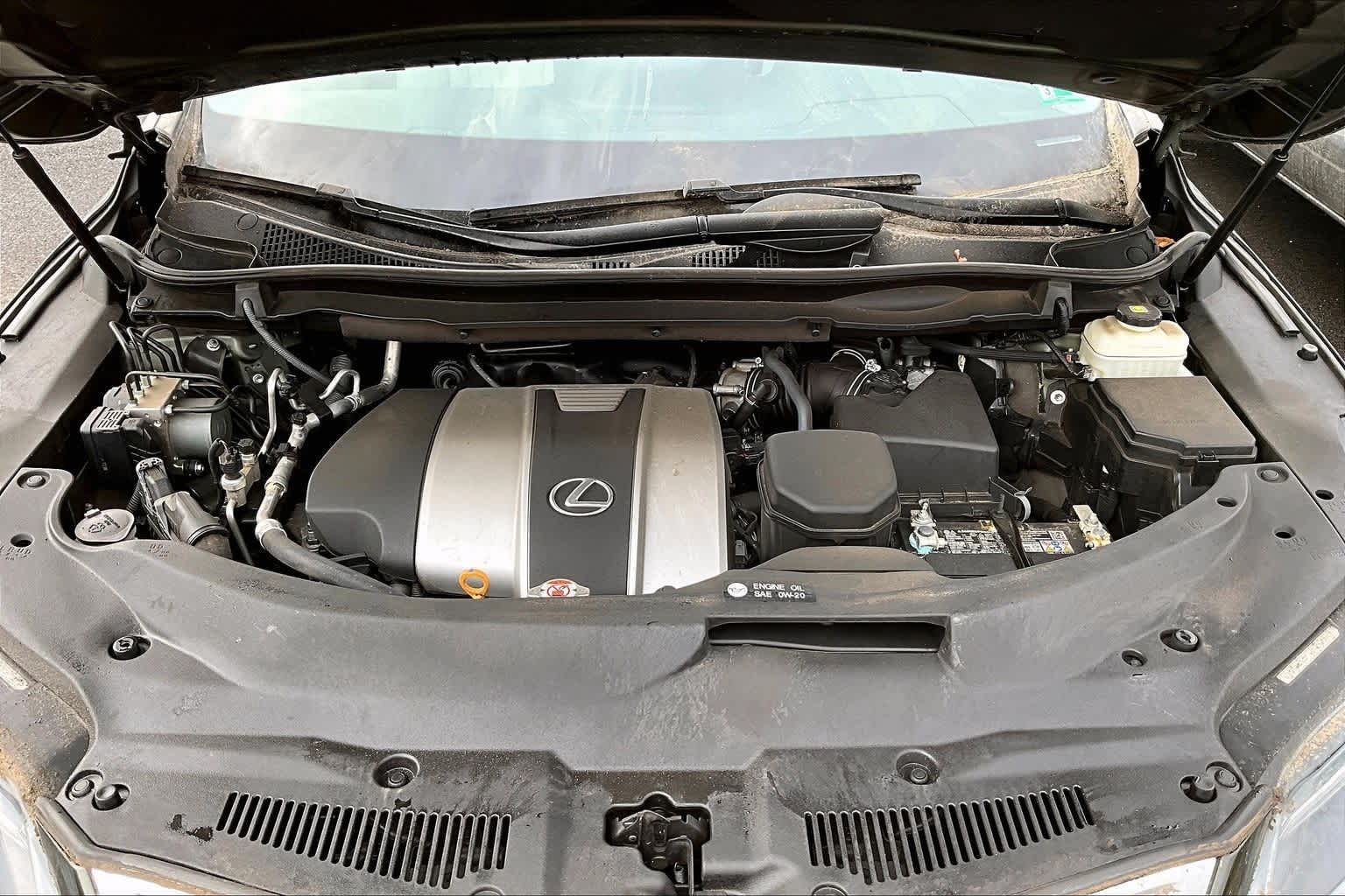 2021 Lexus RX 350 RX 350