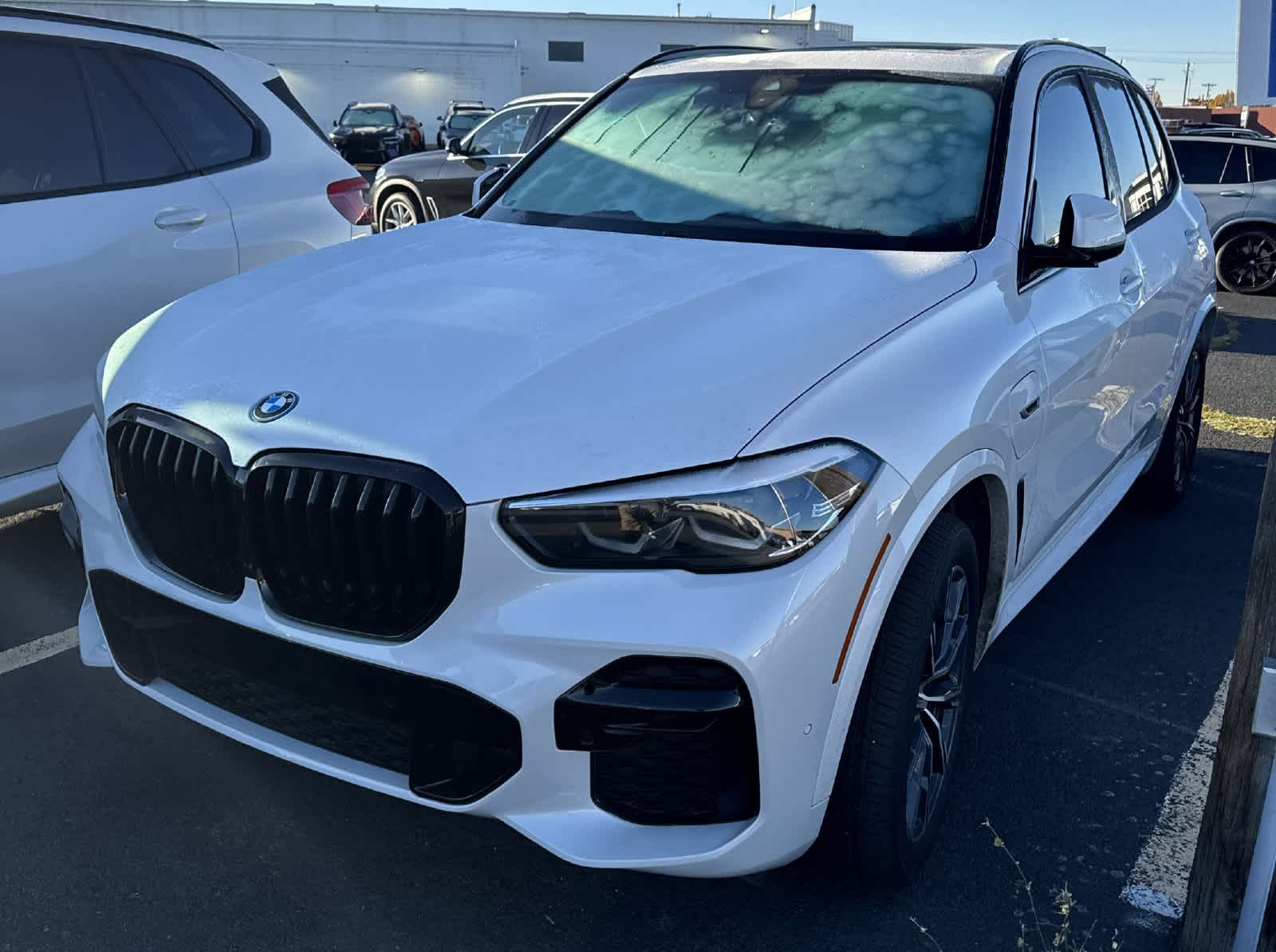 2023 BMW X5