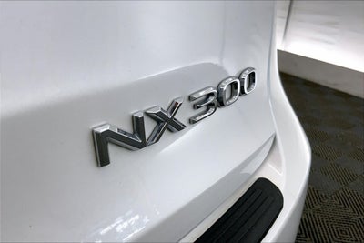 2020 Lexus NX NX 300