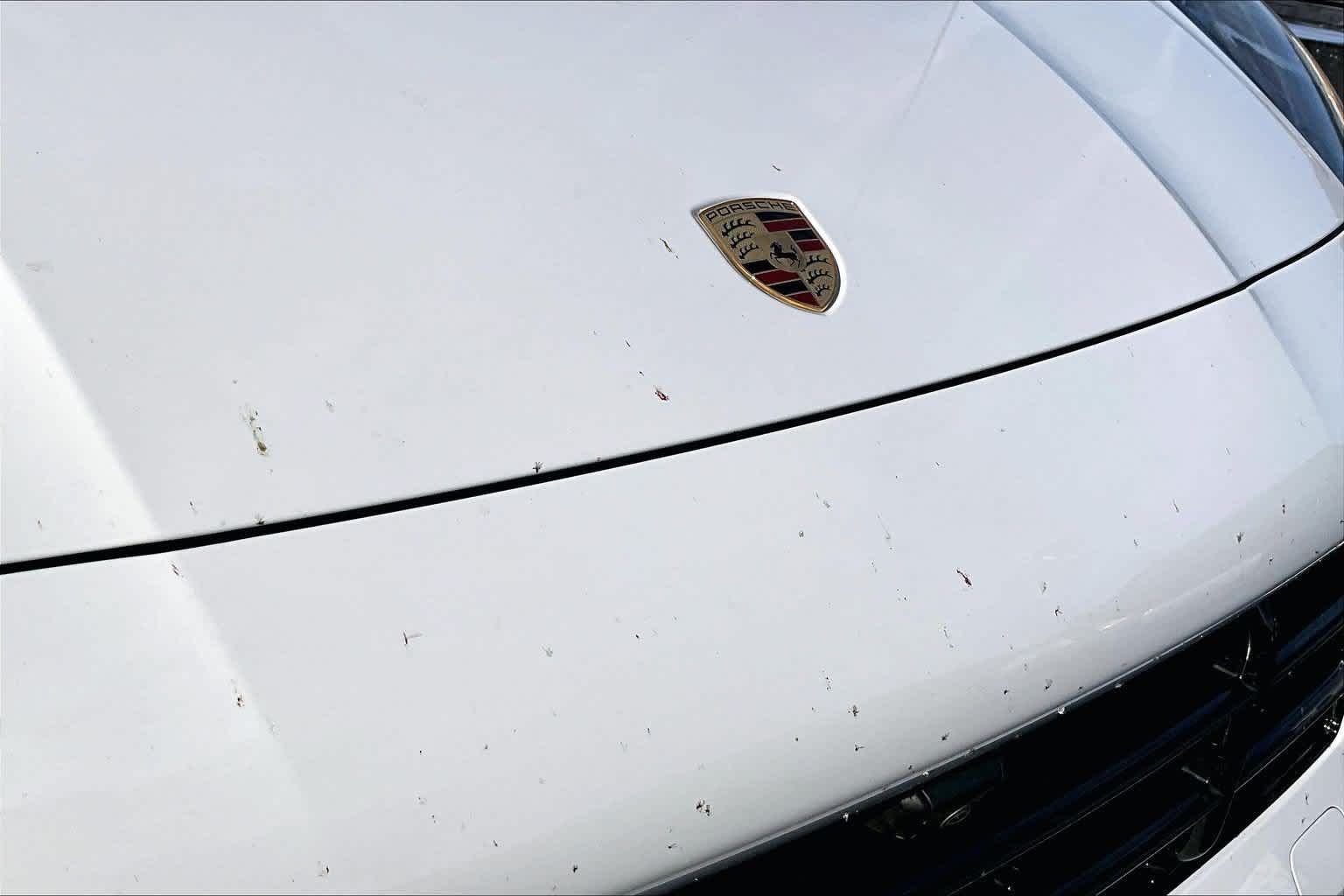 2019 Porsche Cayenne E-Hybrid