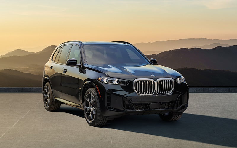 BMW X5 parked near mountain landscape.